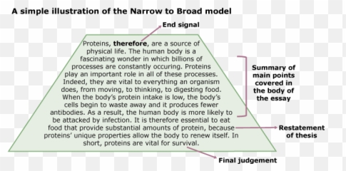 Essay Writing - Dot Emoji,Theory Of Constructured Emotions