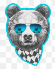 Girly Cute Sticker Pink Sticker - Bear With Glasses Emoji,Quotes Of Females Posting Pics Of The Snapchat Emoji Dog