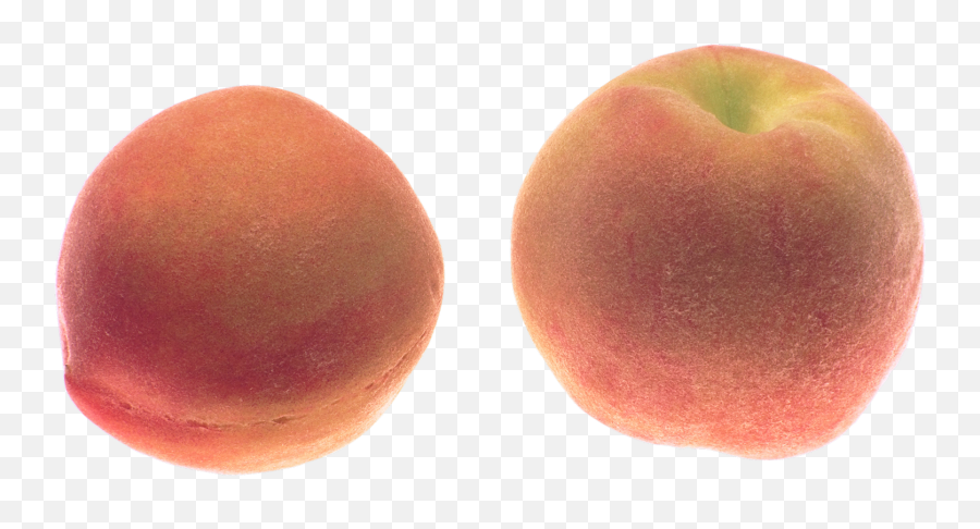 Free Peach Transparent Download Free Peach Transparent Png Emoji,Peach Emoji Cursor Tumblr