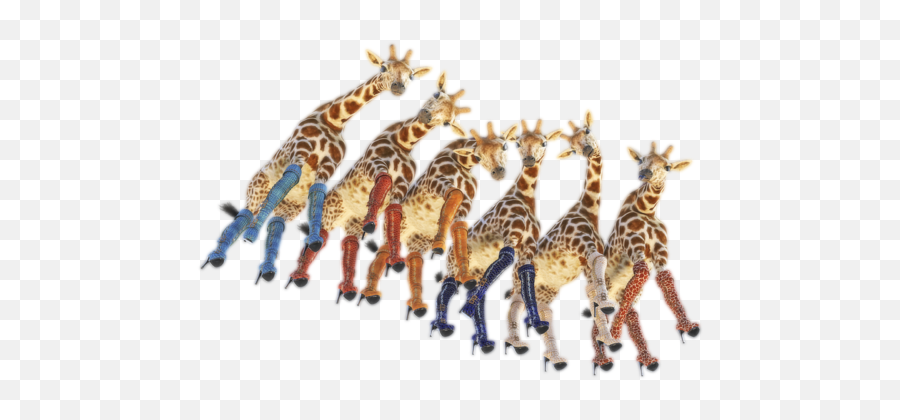 Curious Giraffes Png Kids T - Shirt Emoji,How To Make A Shark And Giraffe Emoticon In Facebook