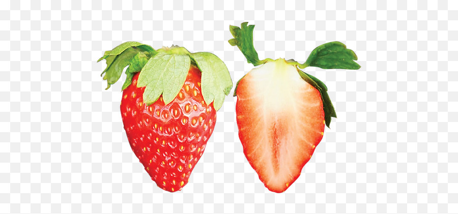 Ichigo Zanmai By Fruits Park Saianstrawberry Picking In Emoji,Strawberry Emoji