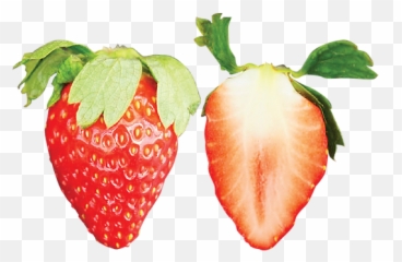 Ichigo Zanmai By Fruits Park Saianstrawberry Picking In Emoji,Strawberry Emoji