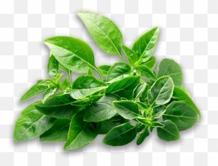 Edmonton Graphic Design Arkane Design Edmonton Logo Emoji,Oregano Leaves Emoji