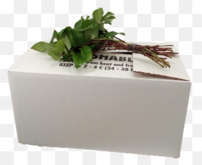 Bloomx Bv Webshop - Cardboard Packaging Emoji,Hydrangea Macrophylla Emotion