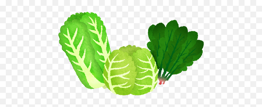 Cabbage Clipart Leafy Vegetable - Green Veggies Clipart Emoji,Leafy Emoji