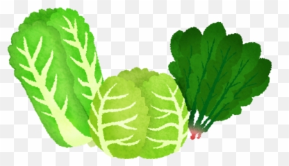 Cabbage Clipart Leafy Vegetable - Green Veggies Clipart Emoji,Leafy Emoji