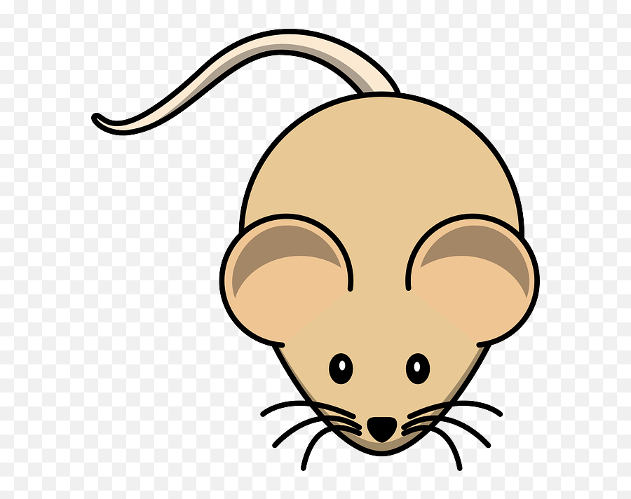 Animals - Baamboozle Dibujos De Mouse Animal Emoji,Emojis Animales
