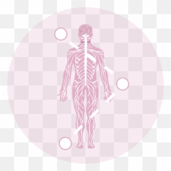 Work With Me Embodied Presence Training - Dot Emoji,Skype Nervous Emotion