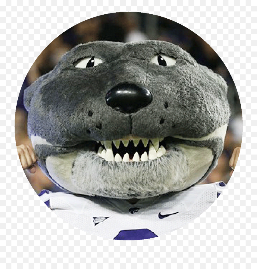 Game Match The Oldest College Football Rivals College - Isis Twitter Emoji,Hairless Beaver Emoticon