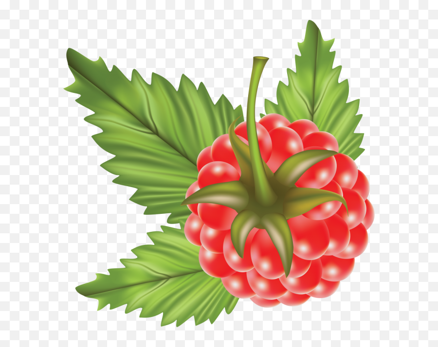 Colors - Raspberry Cross Stitch Pattern Emoji,Dowload Emojis Png