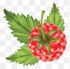 Colors - Raspberry Cross Stitch Pattern Emoji,Dowload Emojis Png
