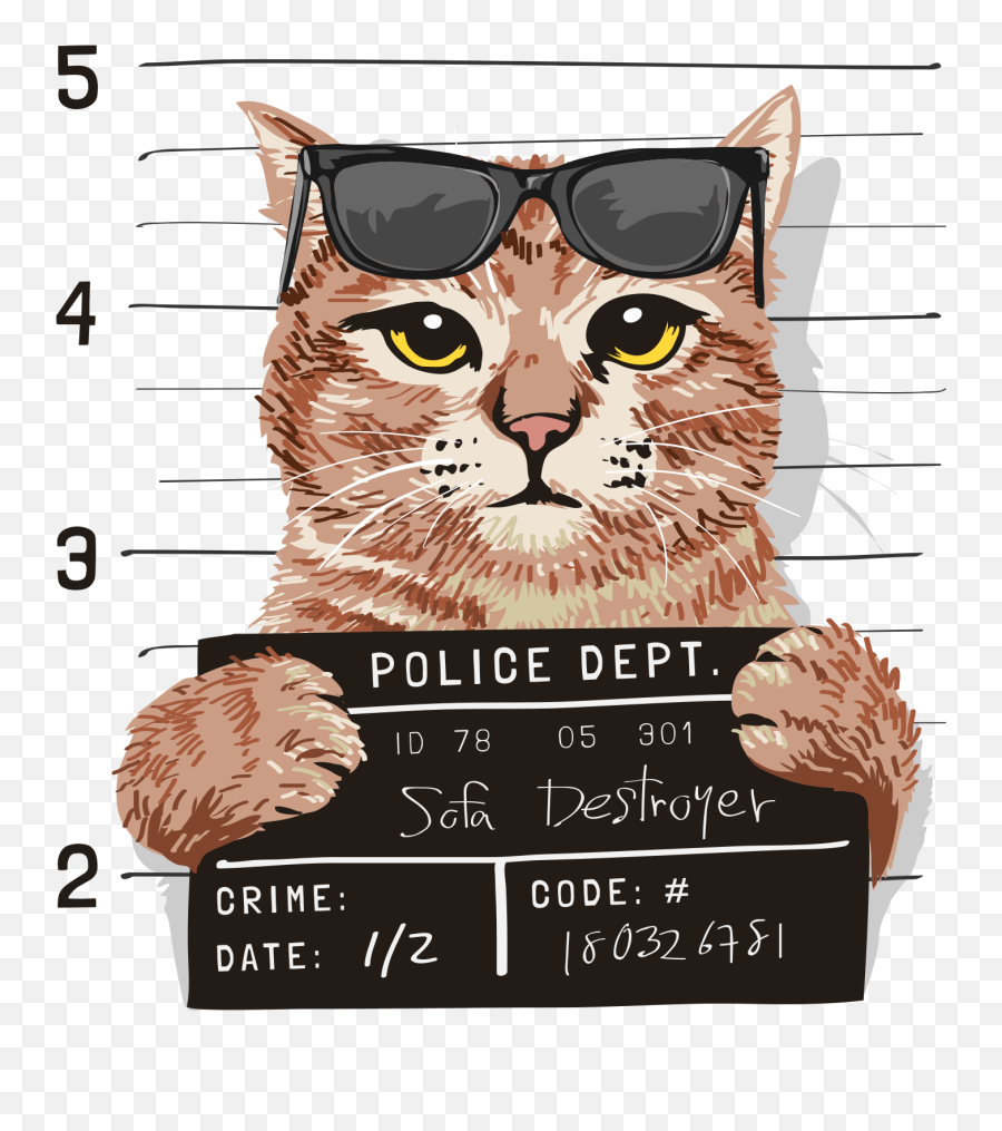 Cool Cat Wanted T - Shirt Emoji,Cuteorange Kitty Emoticons