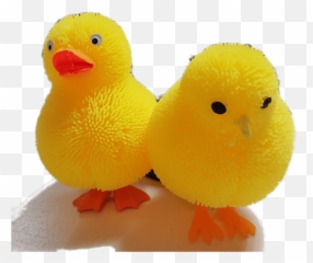 Najszybszy Chicj Emoji,Baby Chick In Egg Emoji Png