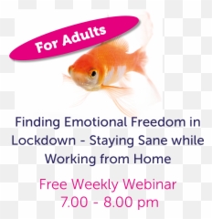 Events U2014 The Resiliency Hub Emoji,Emotion Fish