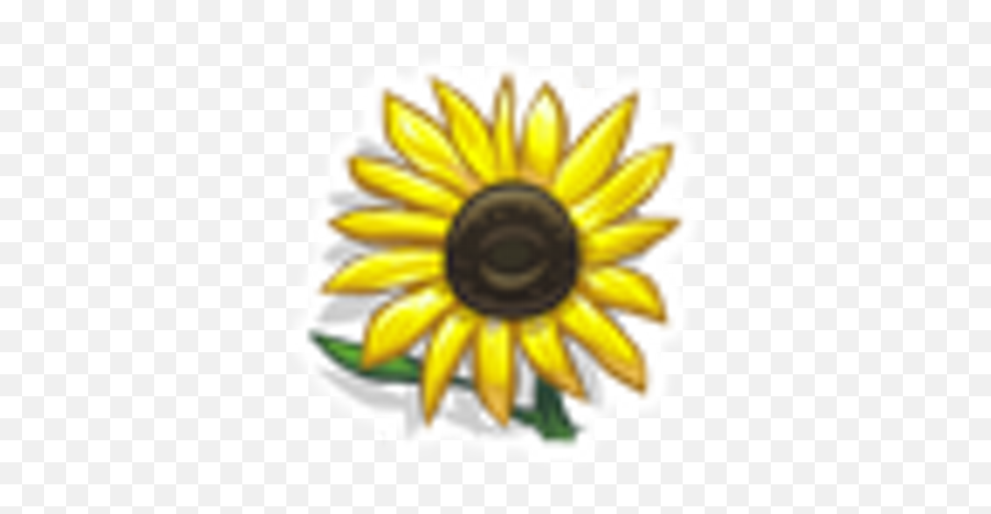 Sus On Twitter Congratulations To Alyssa Culipher For Her Emoji,Yellow Flower Emojis