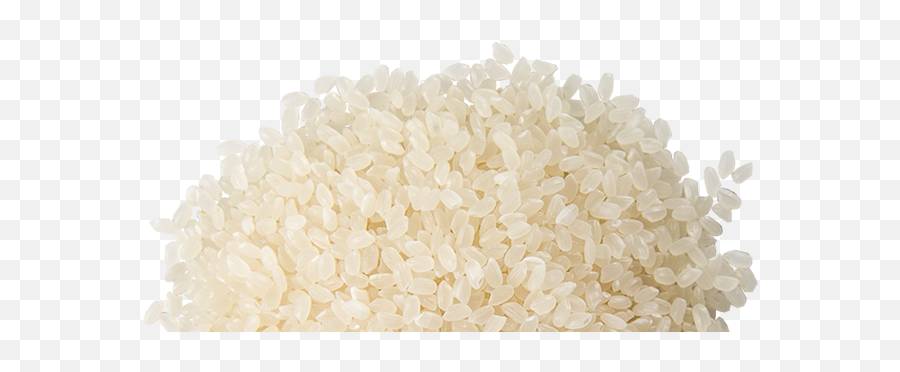 Rice Png Cooked Rice Fried Single Rice Clipart Images Emoji,Rice Emoji With No Background