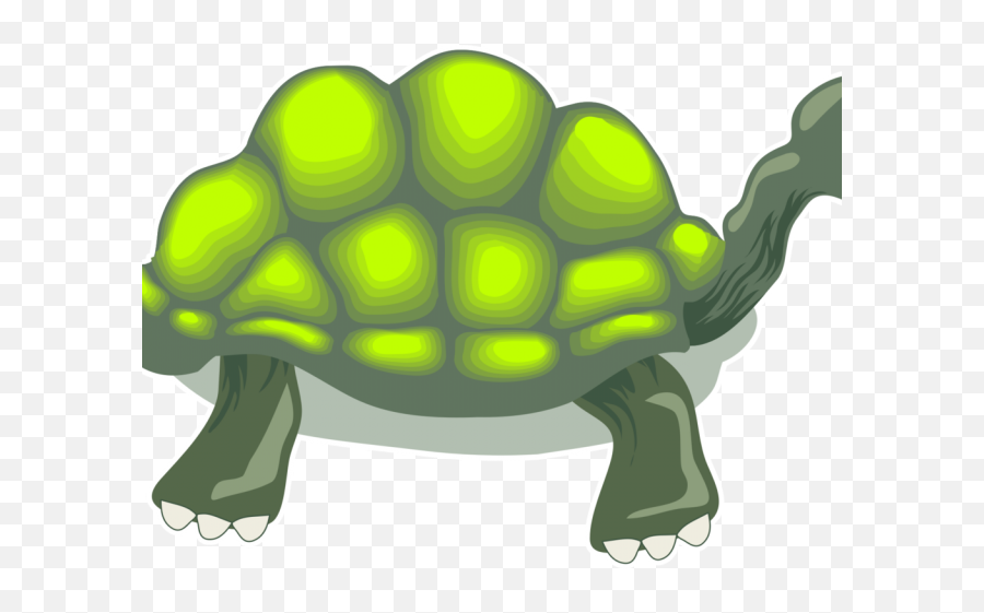 Tortoise Clipart Box Turtle - Galápagos Tortoise Emoji,Turtle Shell Emoji
