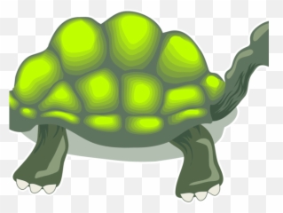 Tortoise Clipart Box Turtle - Galápagos Tortoise Emoji,Turtle Shell Emoji