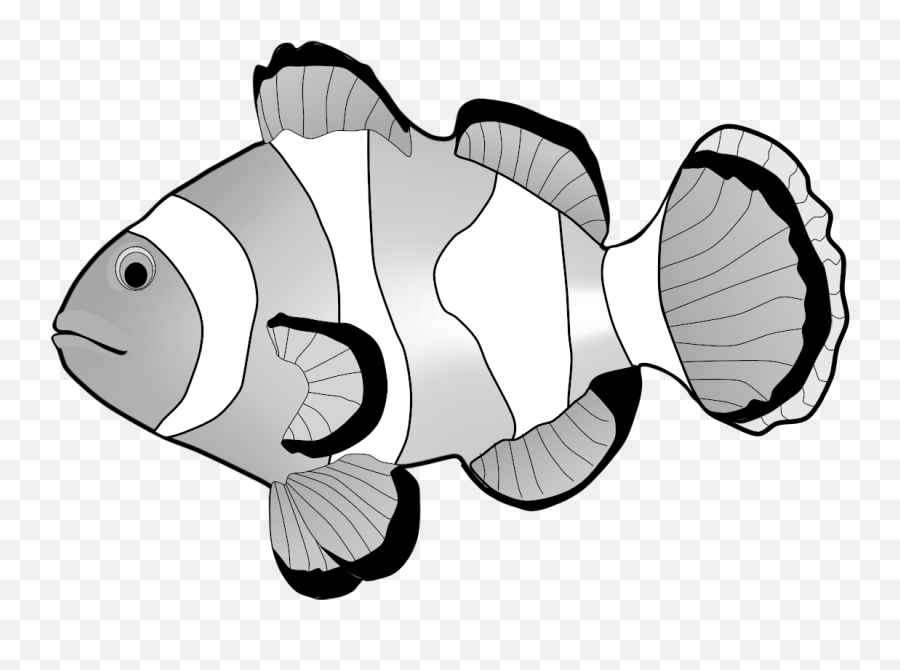 Clownfish Clipart - Clown Fish Clipart Png Transparent Png Pomacentridae Emoji,Swordfish Emoji