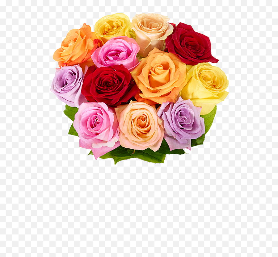 One Dozen Rainbow Roses At From You Flowers - Rainbow Roses From You Flowers Emoji,Two Roses Emoji