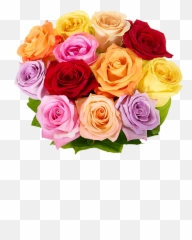 One Dozen Rainbow Roses At From You Flowers - Rainbow Roses From You Flowers Emoji,Two Roses Emoji