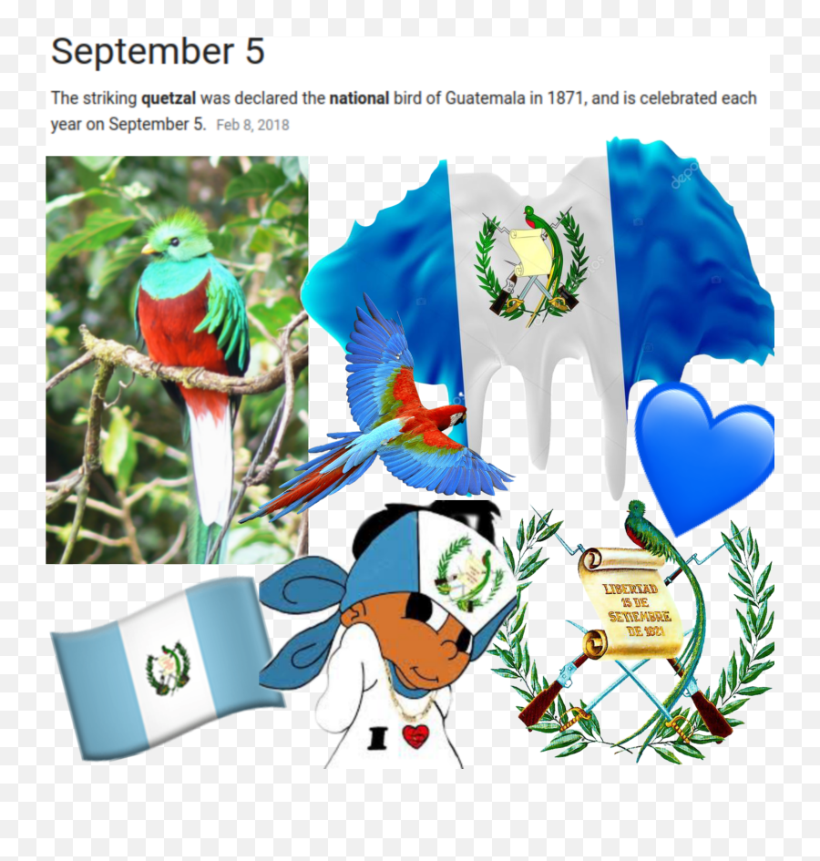 The Most Edited Guatemala Picsart - Contraloria General De Cuentas Guatemala Emoji,Guatemala Flag Emoji