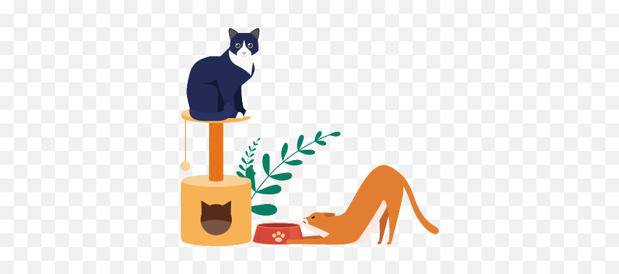 The Complete Guide To Feline Nutrition - Weu0027re All About Cats Cat In Cat Tree Cartoon Emoji,Cat Definitely Show Emotion