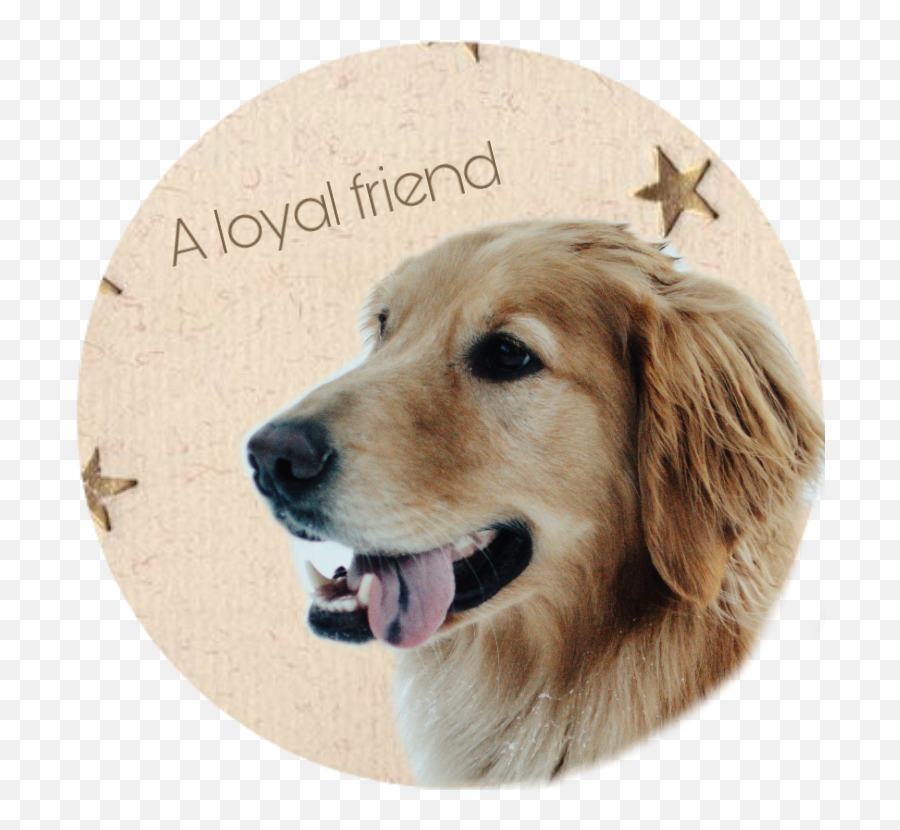 Dog A Loyal Friend Sticker By Lucy - Canine Tooth Emoji,Loyal Emoji