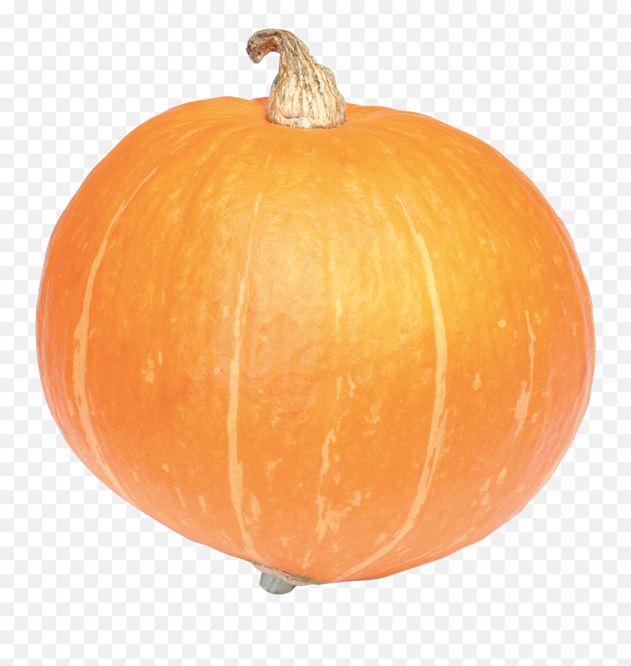 Pumpkin Png Transparent Png - Calabaza Png Transparente Emoji,Pumpkin Emoji Happy Girl