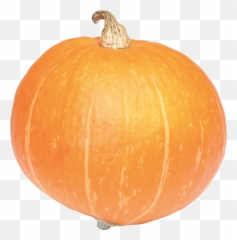 Pumpkin Png Transparent Png - Calabaza Png Transparente Emoji,Pumpkin Emoji Happy Girl