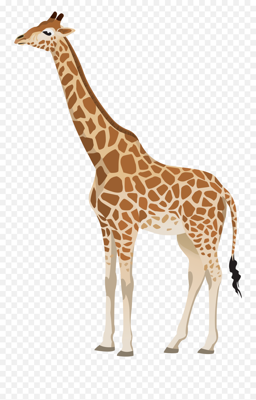 Transparent Background Giraffe Clip Art - Uganda Wildlife Conservation Education Centre Emoji,Whatsapp Giraffe Emoticons