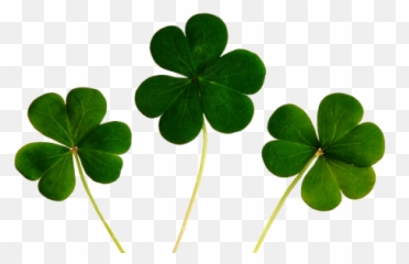 Shamrock Sanyecao San Ye - Hd Wallpaper Luck Emoji,Emojis Meaningwallpaper