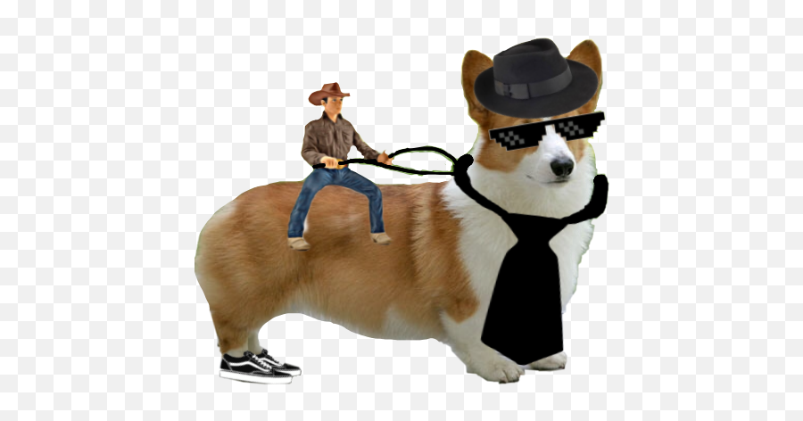 Cowboy Corgi Swagpapi Fedora Meme - Western Emoji,Gay Cowboy Emoji