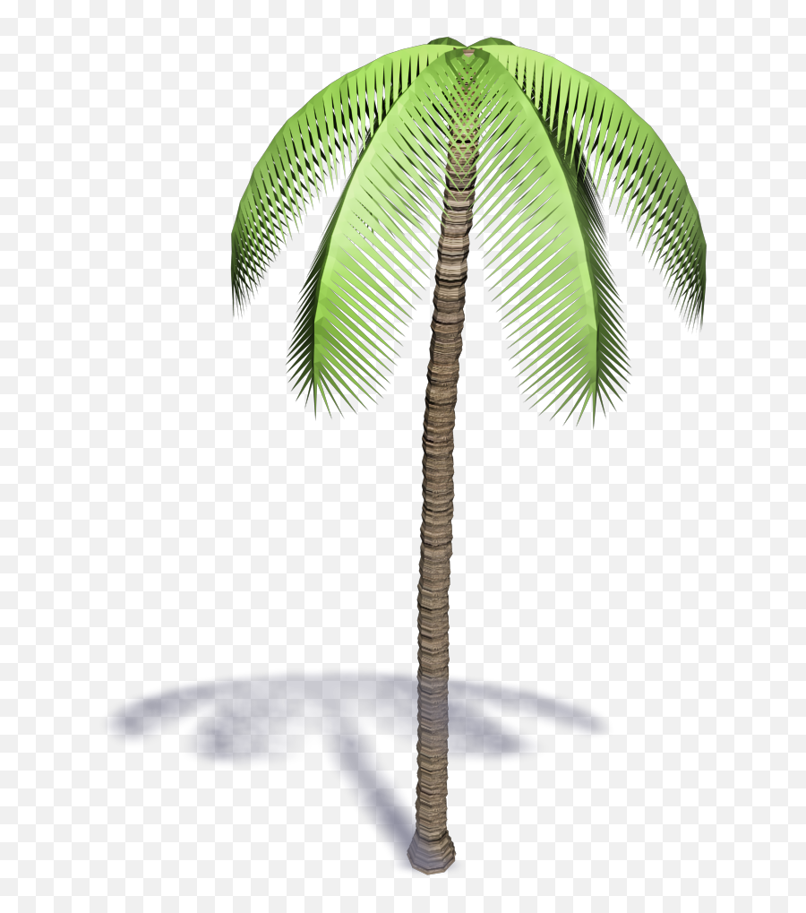 Download Palm Tree - 3d Palm Tree Bim Png Full Size Png Palmeras 3d Png Emoji,Palm Tree Emoji