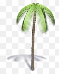 Download Palm Tree - 3d Palm Tree Bim Png Full Size Png Palmeras 3d Png Emoji,Palm Tree Emoji