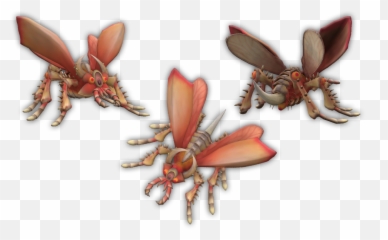 Coleodorus O6 - Parasitism Emoji,Emoticon Agresivo