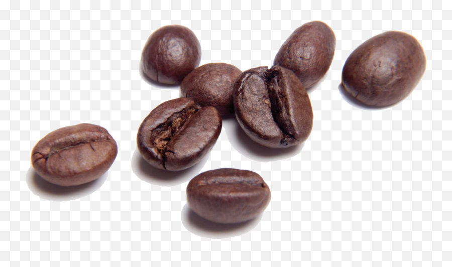 Coffee Beans Transparent Background - Coffee Bean Book Quotes Emoji,Coffee Bean Emoji