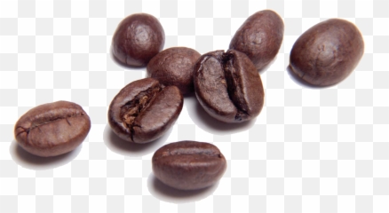 Coffee Beans Transparent Background - Coffee Bean Book Quotes Emoji,Coffee Bean Emoji
