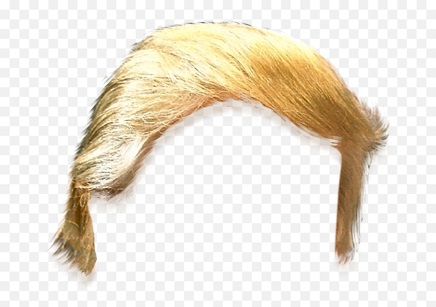Download Hair Hairstyle United Trump - Transparent Donald Trumps Hair Emoji,Trump Bunny Dance Emoticon