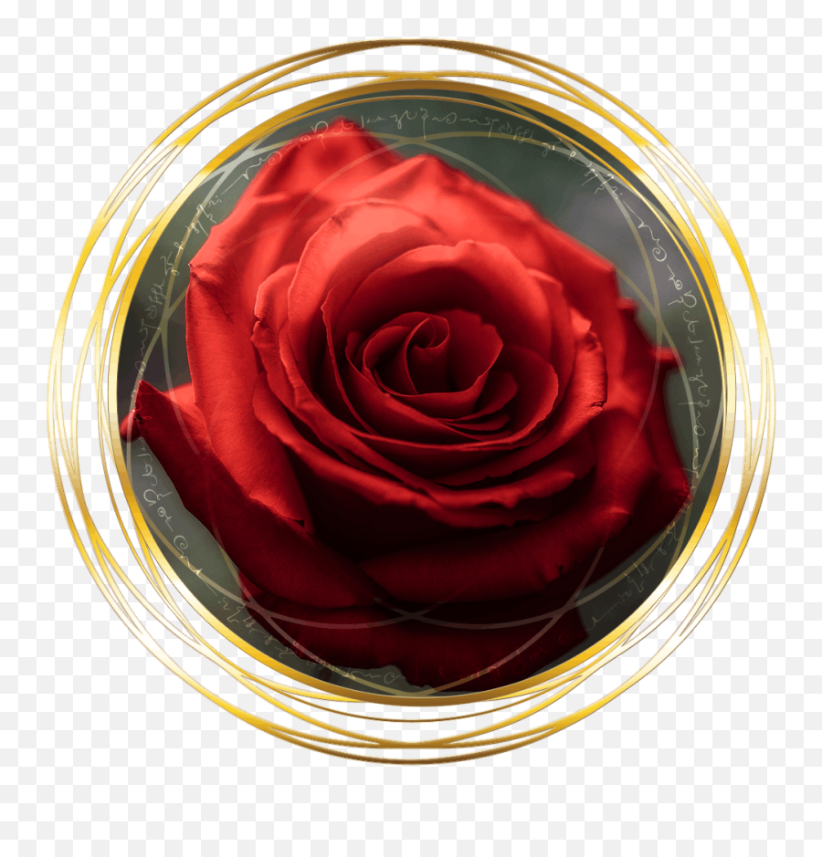 The Rose Lineage - Lovely Emoji,Deep Emotions Roses