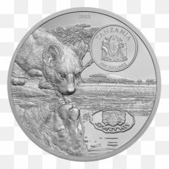 Lions - Silver Emoji,Real Lions Emotions