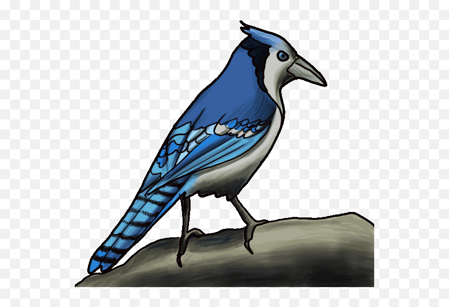 Graphics Cow Png Images - Cartoon Drawing Blue Jay Emoji,Bird Jay Emoticon