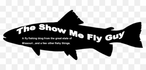 May 2020 - Fish Emoji,Emotion Flies