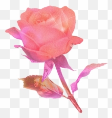 Topic For Rose Animation Animated Red Rose On A Piano - Flower Blooming Infinite Gif Emoji,Facebook Rose Emoji