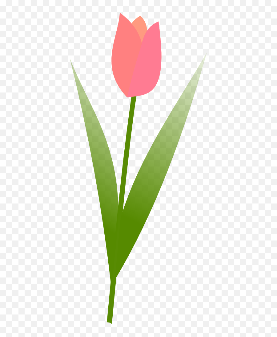 Newsletter - May U2014 St Peter Lutheran Church Florida Ohio Cartoon Tulip Flower Clipart Emoji,Easter Emoji Art