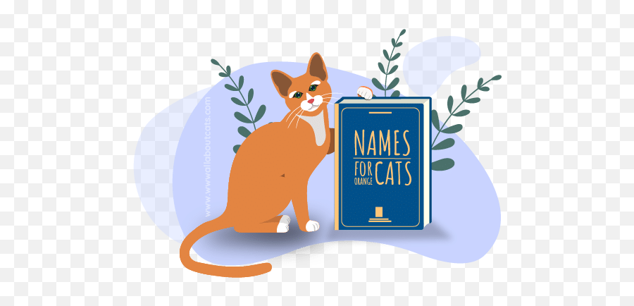 165 Orange Cat Names Male Female U0026 Unisex Names - All Emoji,Cuteorange Kitty Emoticons