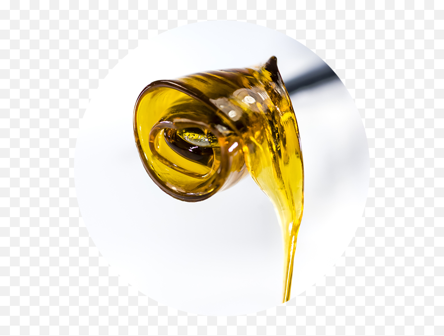 Cbg Wholesale Sri Lanka - Cbd White Label Mustard Oil Emoji,Deep Fried Dab Emoji