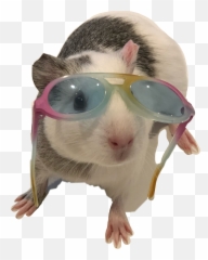 Edit - Eyeglass Style Emoji,Willie Nelson Emoji