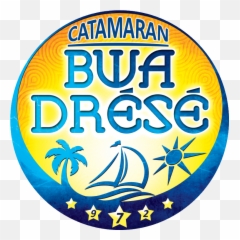 A Prévoir U2013 Catamaran Bwa Drésé U2013 Sorties Fonds Blancs - Detroit Pistons Emoji,Bwa Emoji