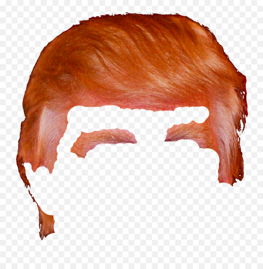 Donald Trump Hair Png U0026 Free Donald Trump Hairpng Emoji,Trump Hair Emoji